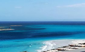 A.Mare